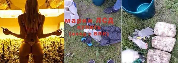 PSILOCYBIN Новодвинск