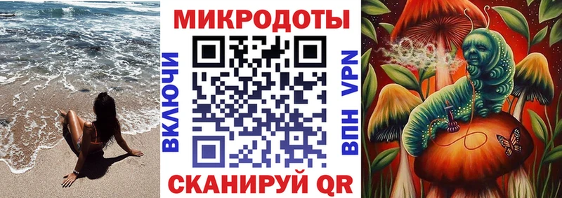 блэк спрут ТОР  Палласовка  Псилоцибиновые грибы Psilocybe 